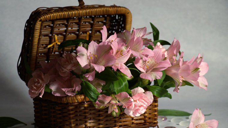 С̠ д̠н̠е̠м̠ р̠о̠ж̠д̠е̠н̠ь̠я̠ Лариса