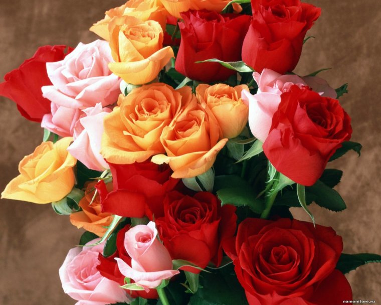 Цветы для Наташи