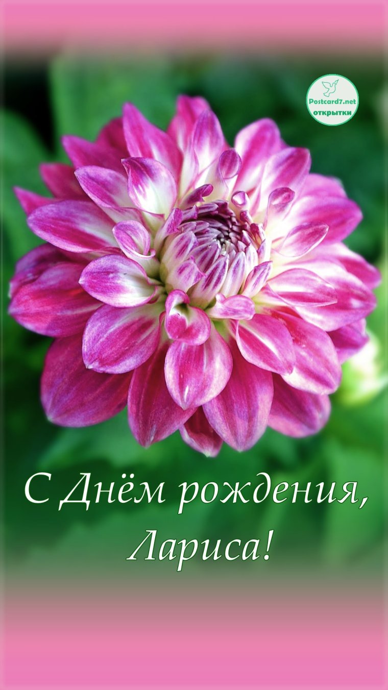 С днём рождения Лариса