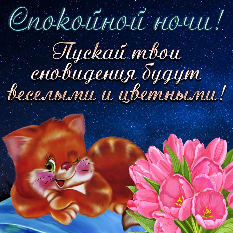 Пожеланияпойкокйной ночи