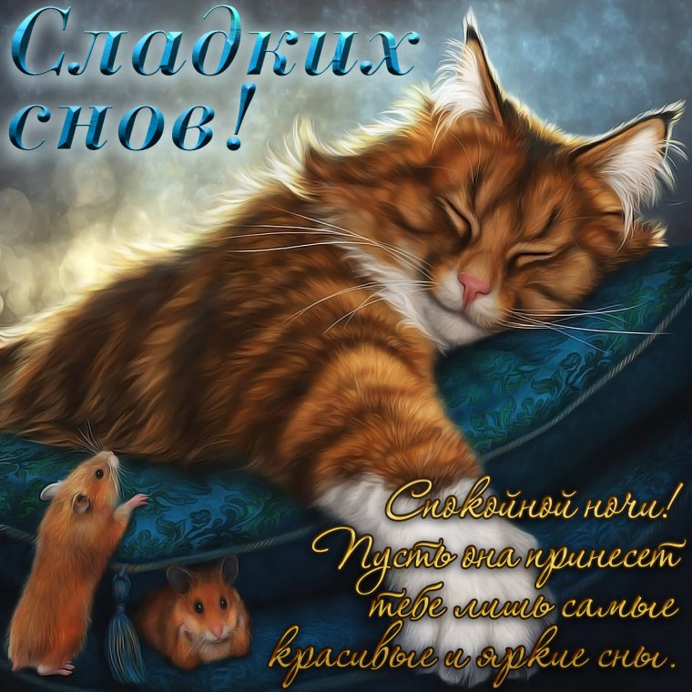 Пожелания спокойной ночи