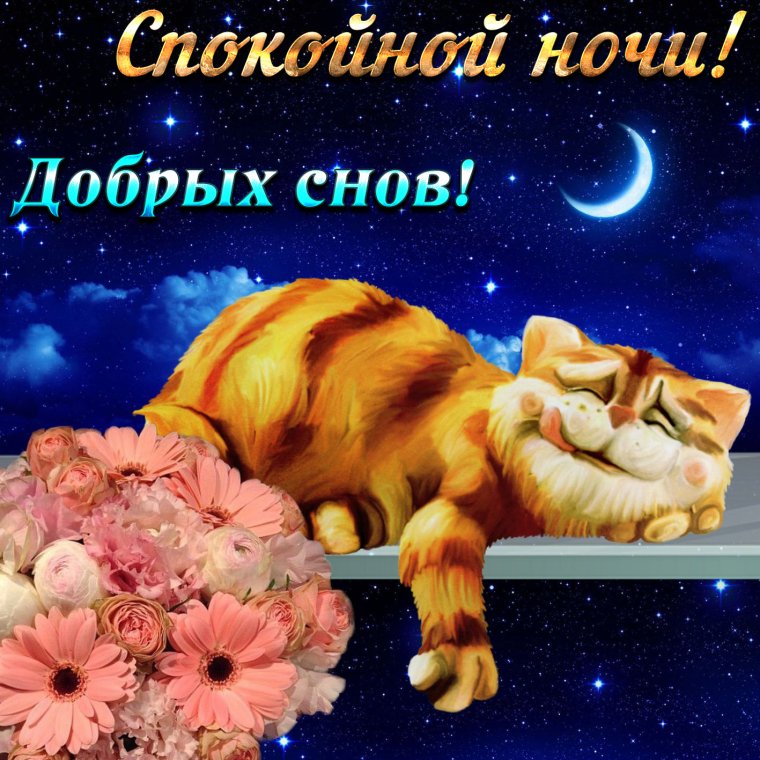Спокойной ночи цветы