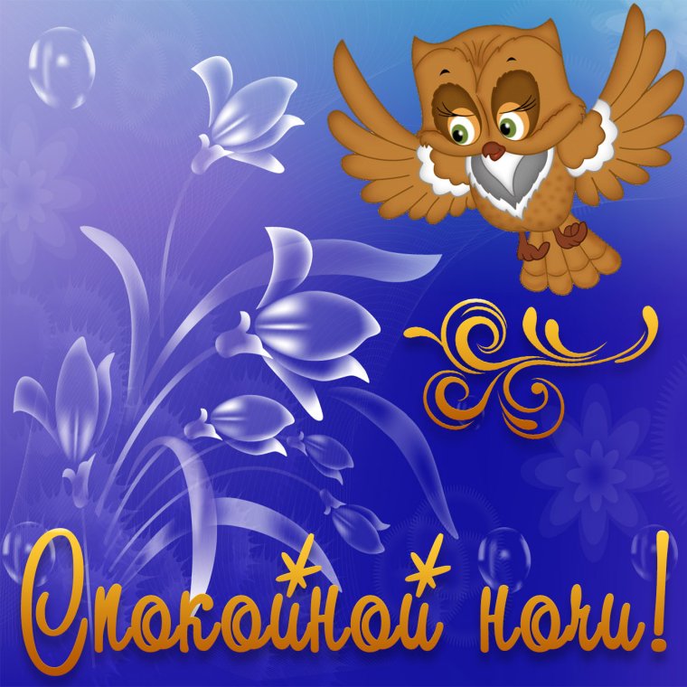 Доброй ночи нежных снов