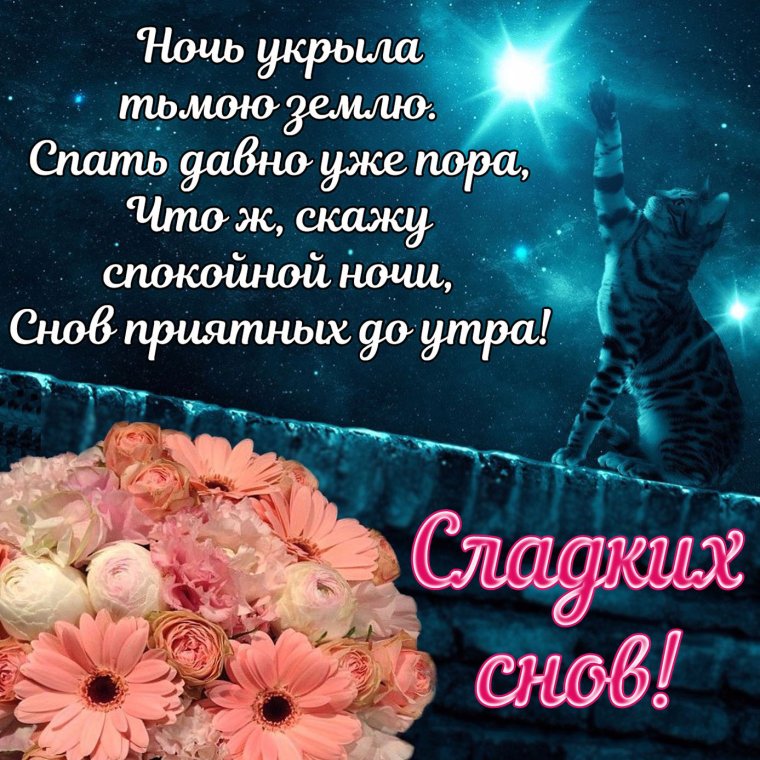Прекрасная ночь