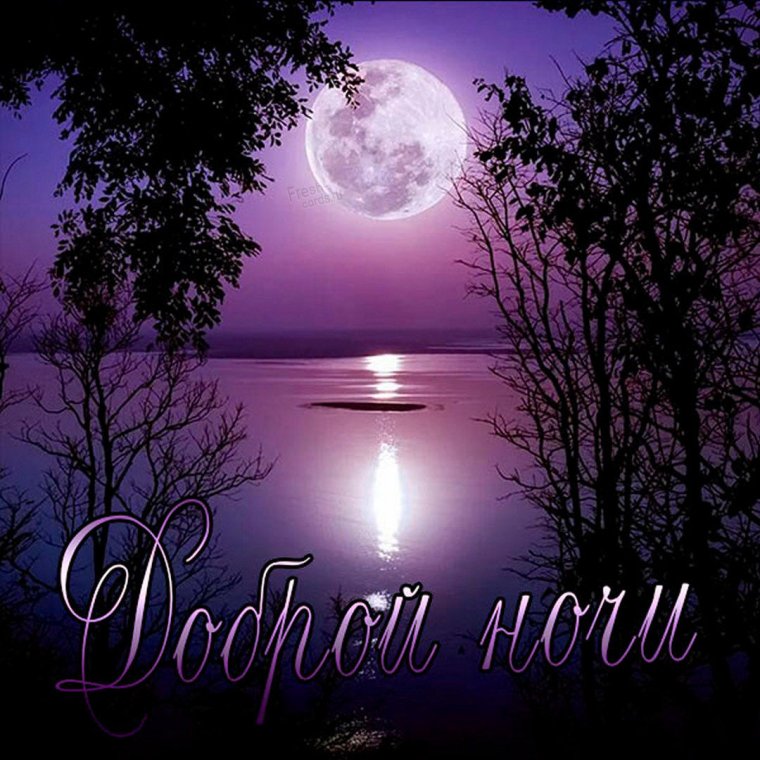 Анимцияспокойной ночи