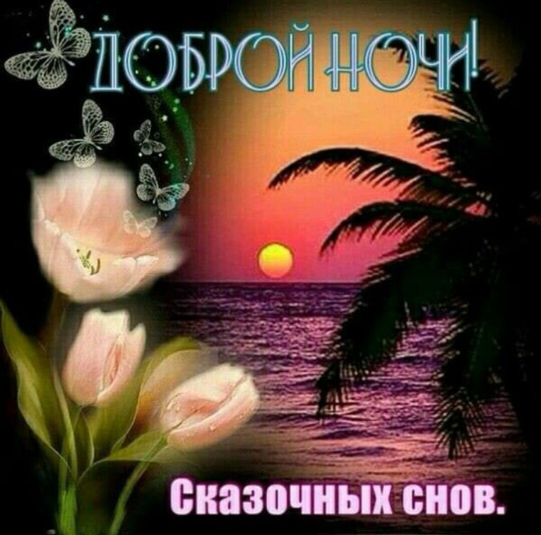 Прекрасная ночь