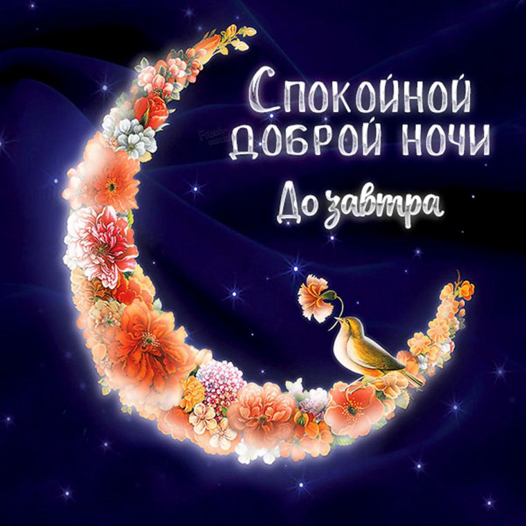 Доброй и спокойной ночи приятных снов