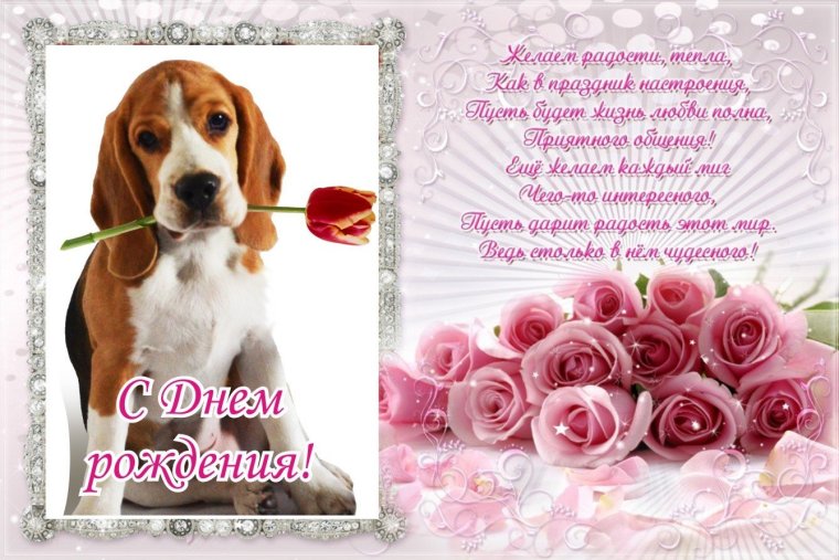 С днем рождения Диана поздравления