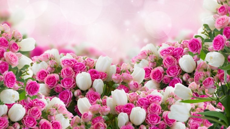 С днём рождения Катя