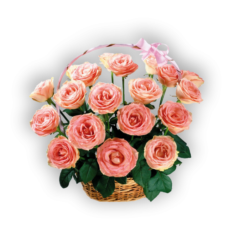 Поздравление с днём рождения подругне