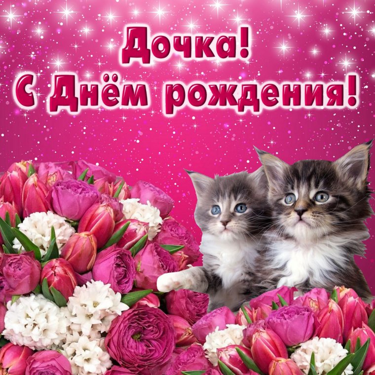 Стднем рождения дочери