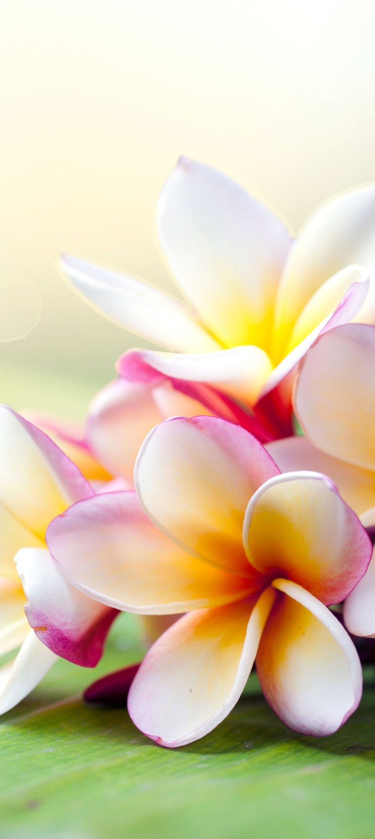 С днём рождения христианские поздравления