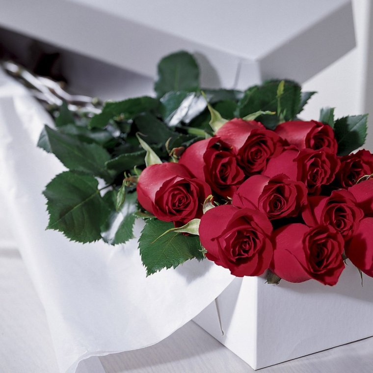 Красивые цветы для Любочки