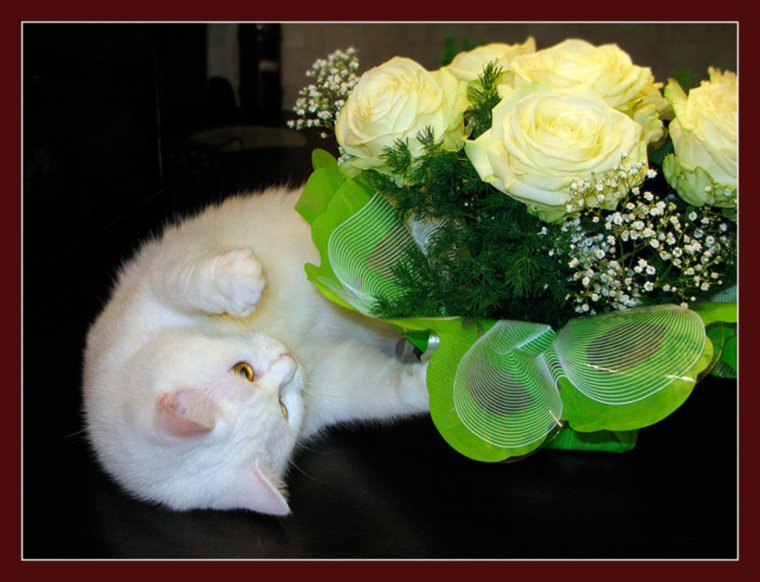 Поздравления с днём рождения маме