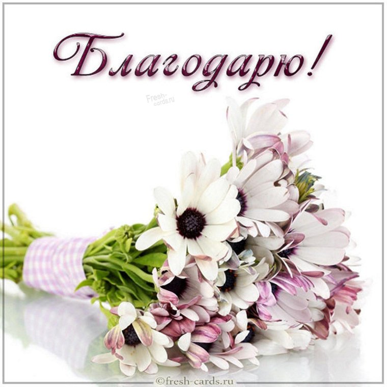 С днём рождения окаана