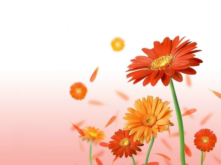 Костюша с днем рождения