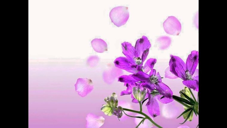 Поздравить Кристину с днем рождения