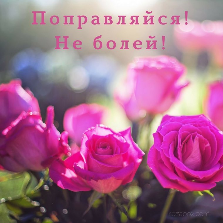 Скорейшего выздоровления