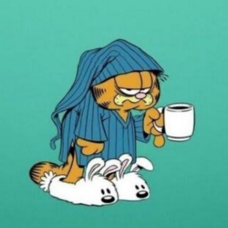 Поправляйся цветы