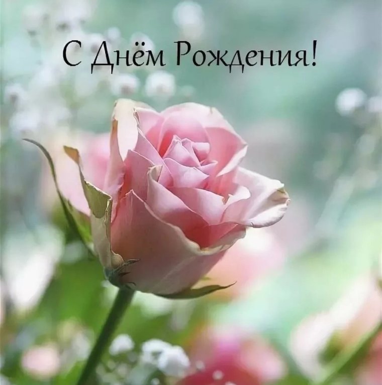 Фоторамка с днем рождения