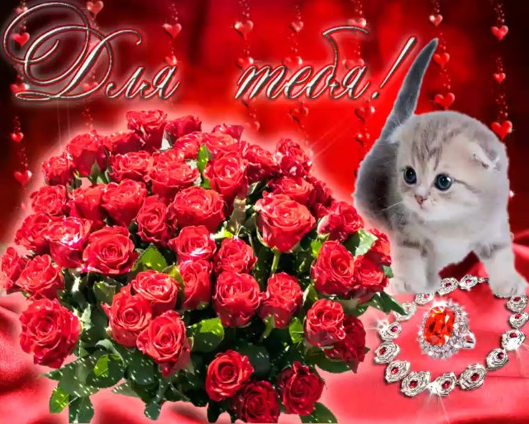 С днем рождения женщине анимация