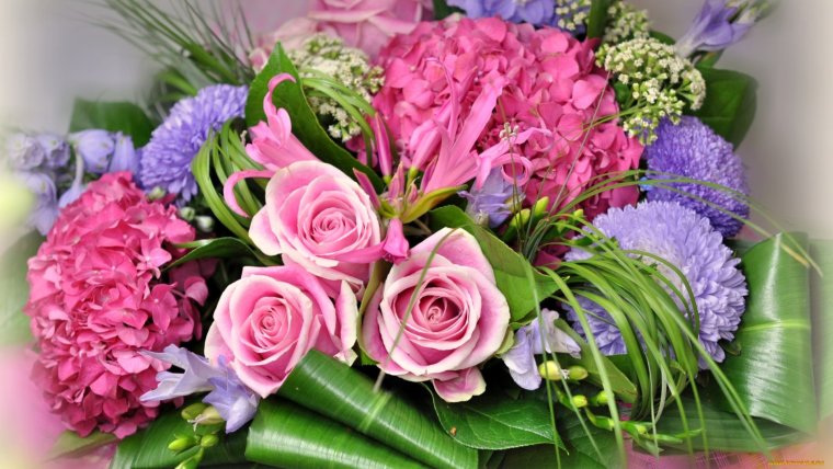 Букет Астра гортензия