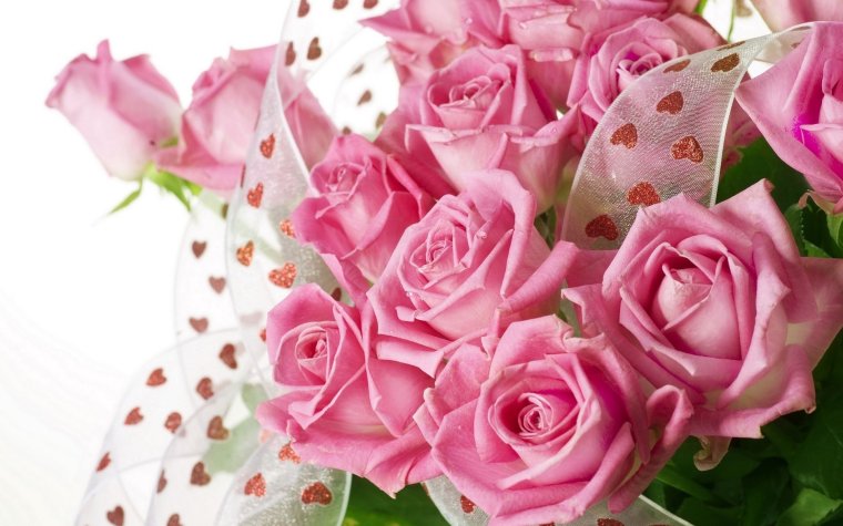 Розовые розы