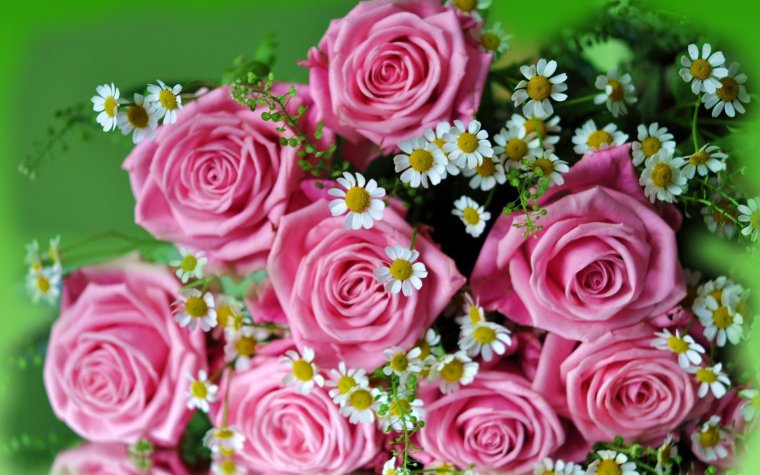 Открытки с розами красивые