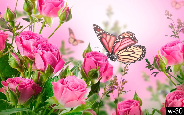 Открытки с цветами красивые