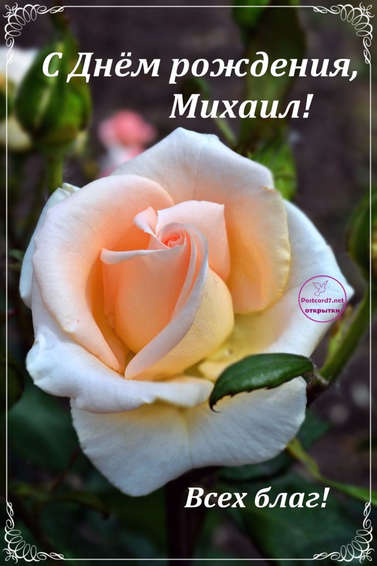 С днем рождения миохасил