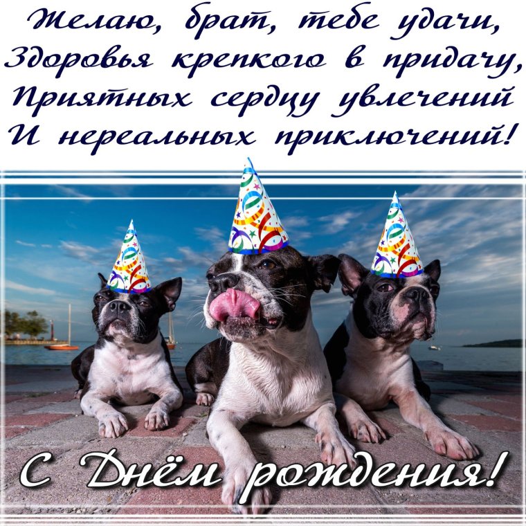 Веселые поздравления