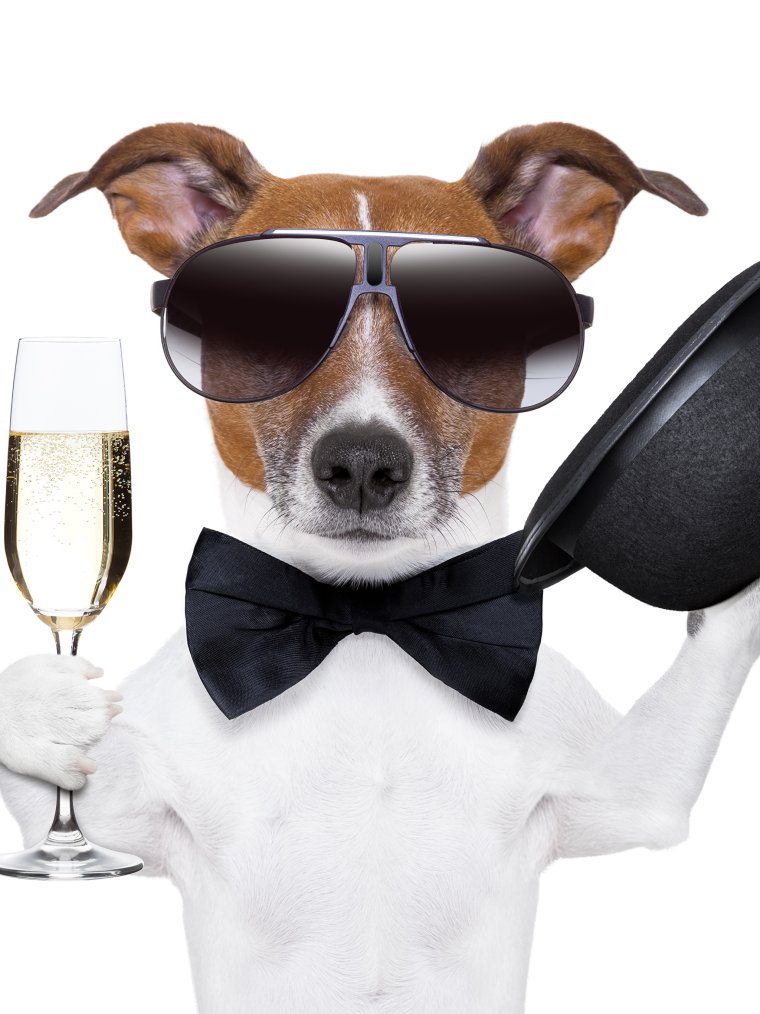 Прикольное поздравление мужчине