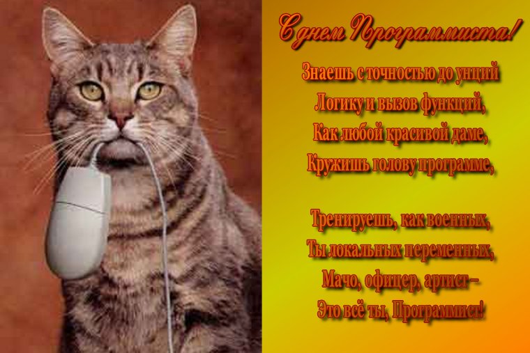 День программиста
