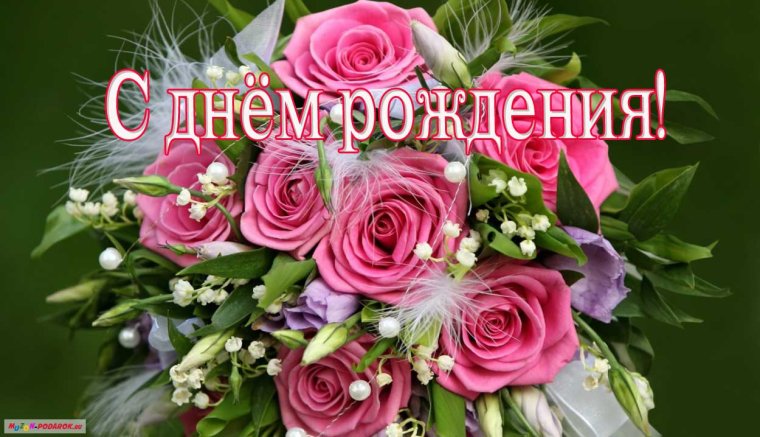 С днём рождения Надежда