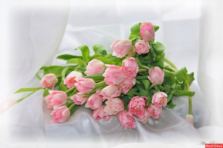 Открытки с юбилеем Ольга Геннадьевна