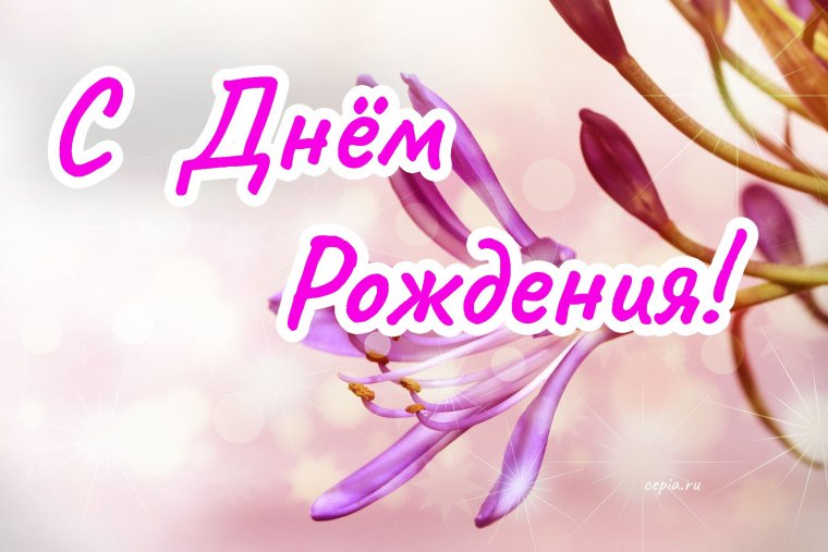 С днём рождения, гвлина