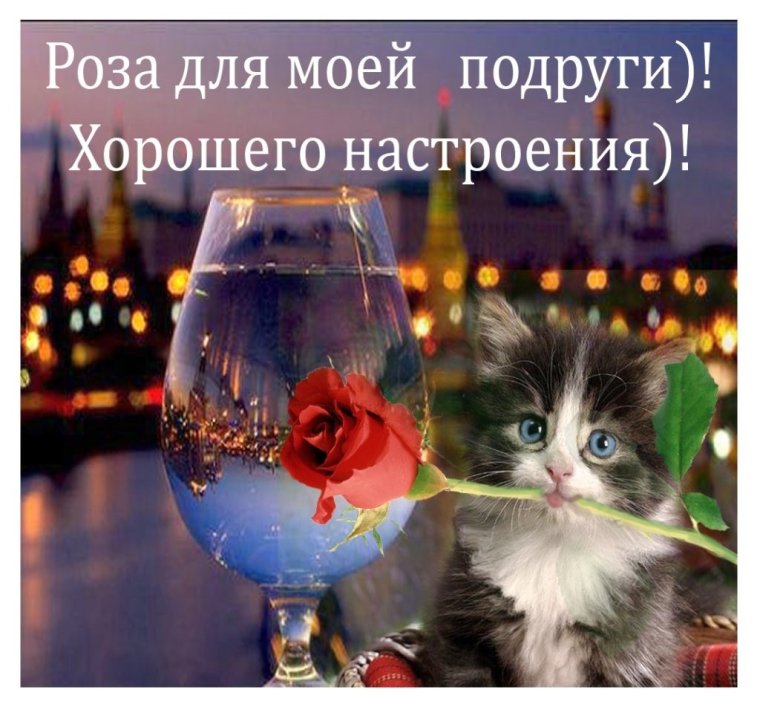 Анимашки приятного вечера