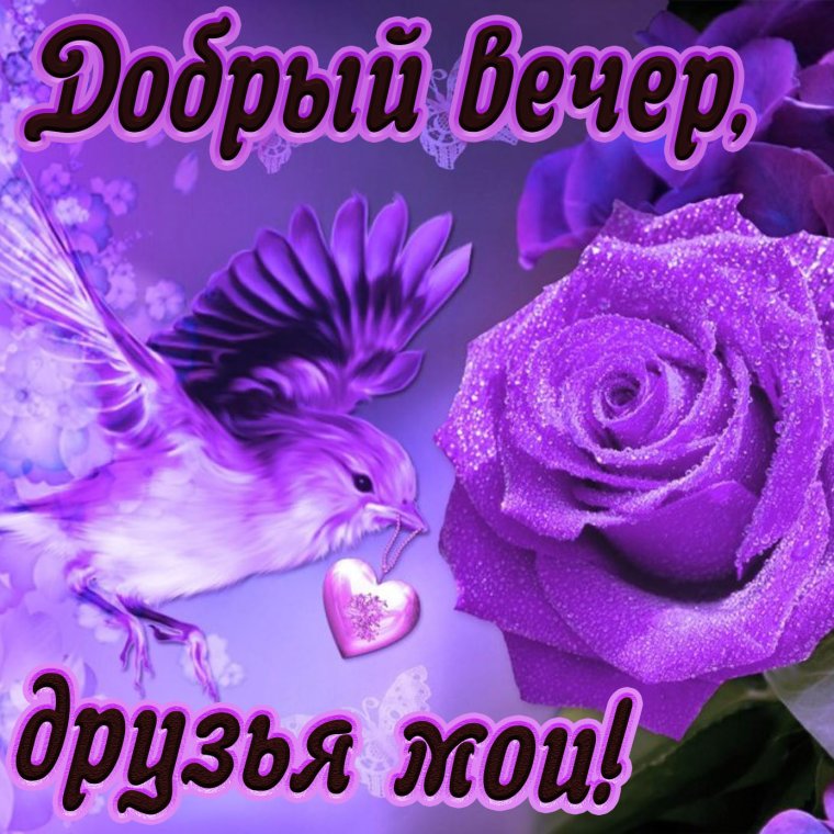 Открытки романтического вечера