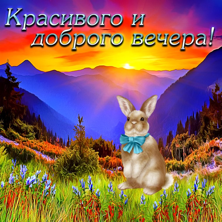 Поздравление с добрым вечером