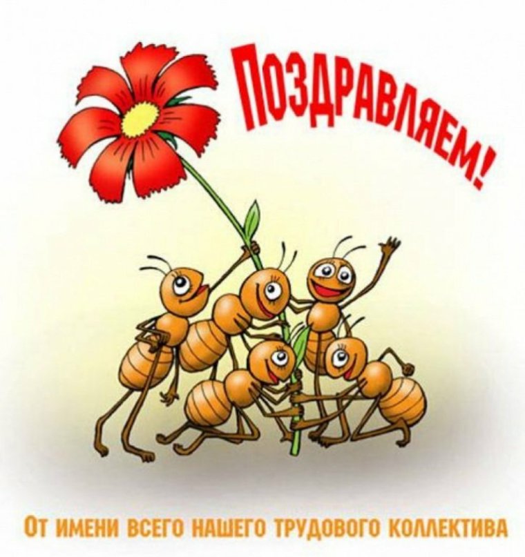 Поздравления с днём рождения начальнику