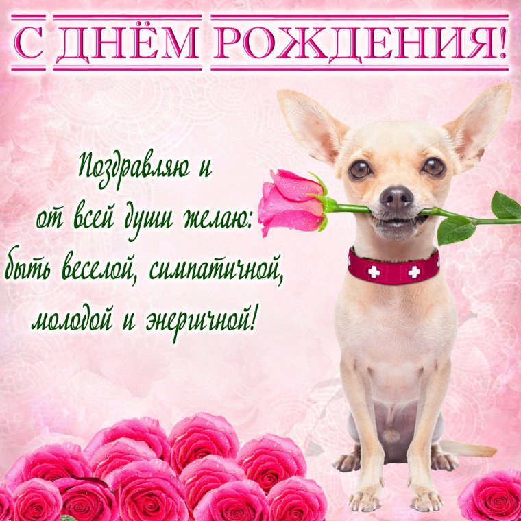 Поздравления с днём рождения девушке