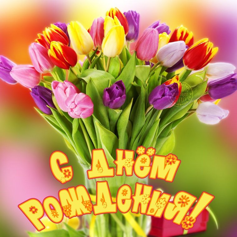 Поздравления с днём рождения