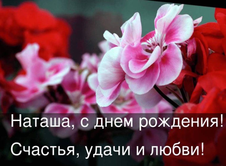 Поздравления с днём рождения Наталье