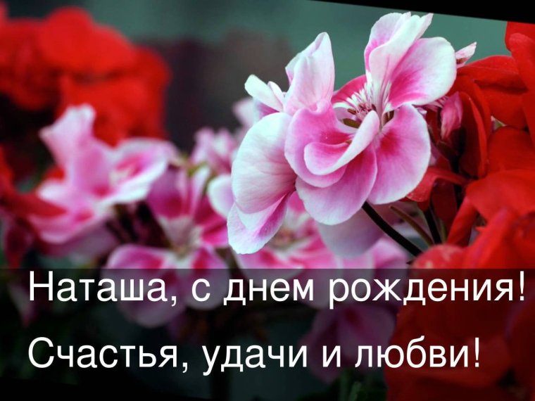 Анимационные открытки с цветами с днем рождения