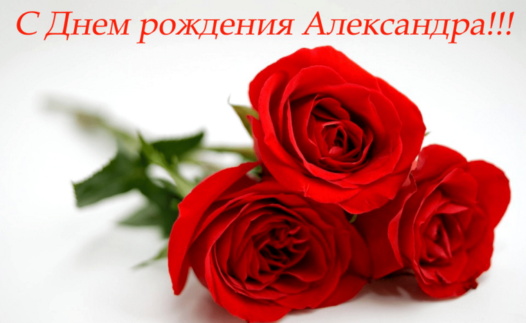 С днём рождения Адександра