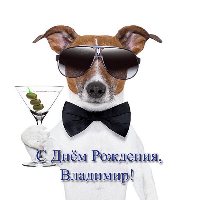 С днем рождения