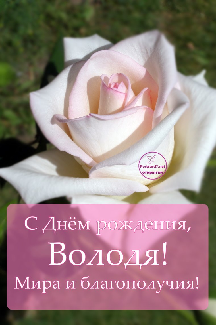 Музыкальное поздравление с днём рождения мужчине