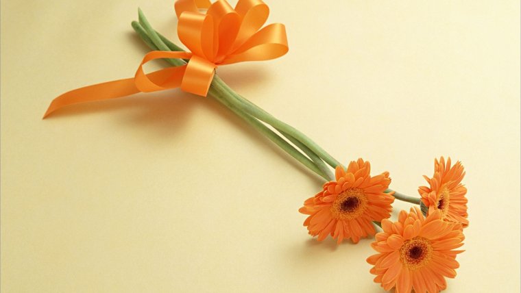 Поздравления с днём рождения