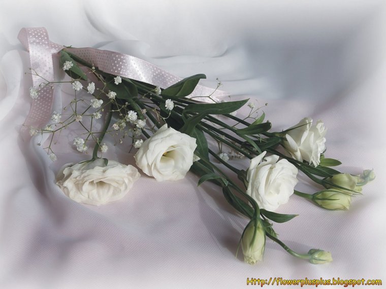 С днём рождения Катя