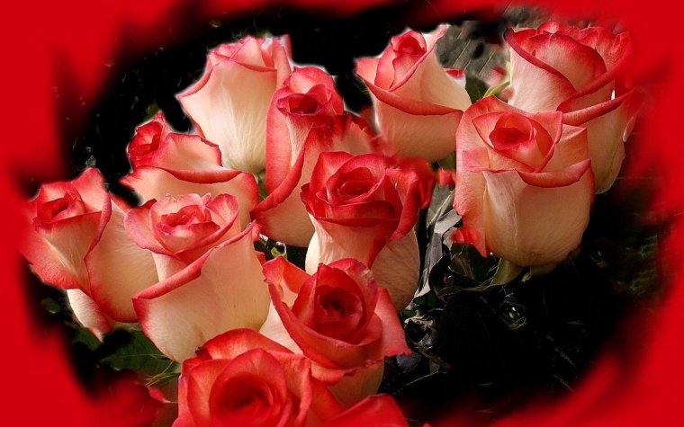 С днём рождения Светочка розы